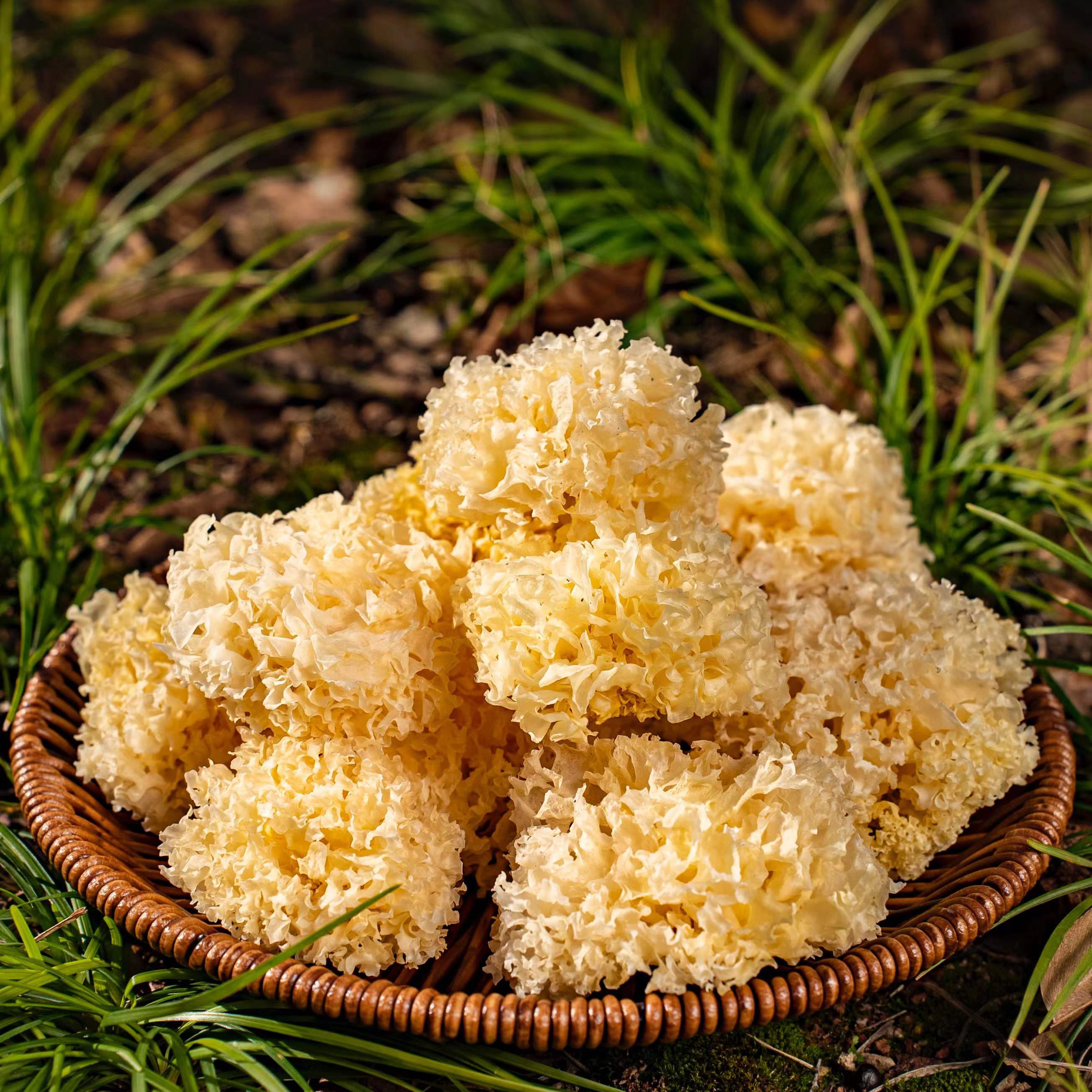 【小建专属】高山 农家 椴木小银耳 87