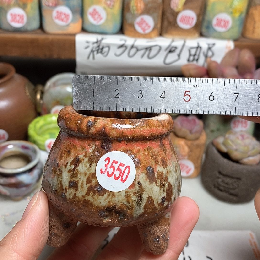 红陶拍5送一个小