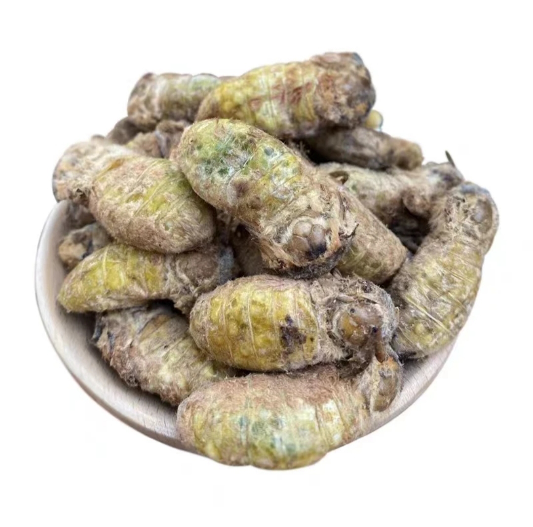 满籽母蚕蛾（炒毛去灰）送烧烤料