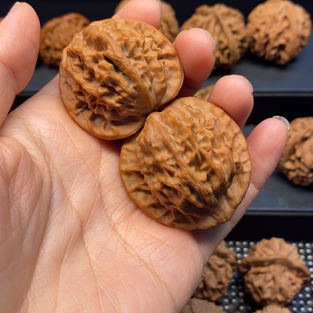 I***o手串/手链核桃秦岭金公子