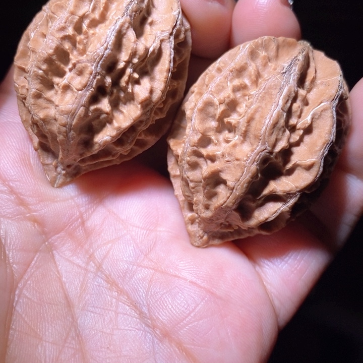 文玩核桃把件东北野生楸子小美02