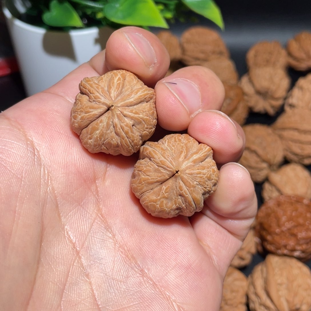 文玩核桃把件热***儿