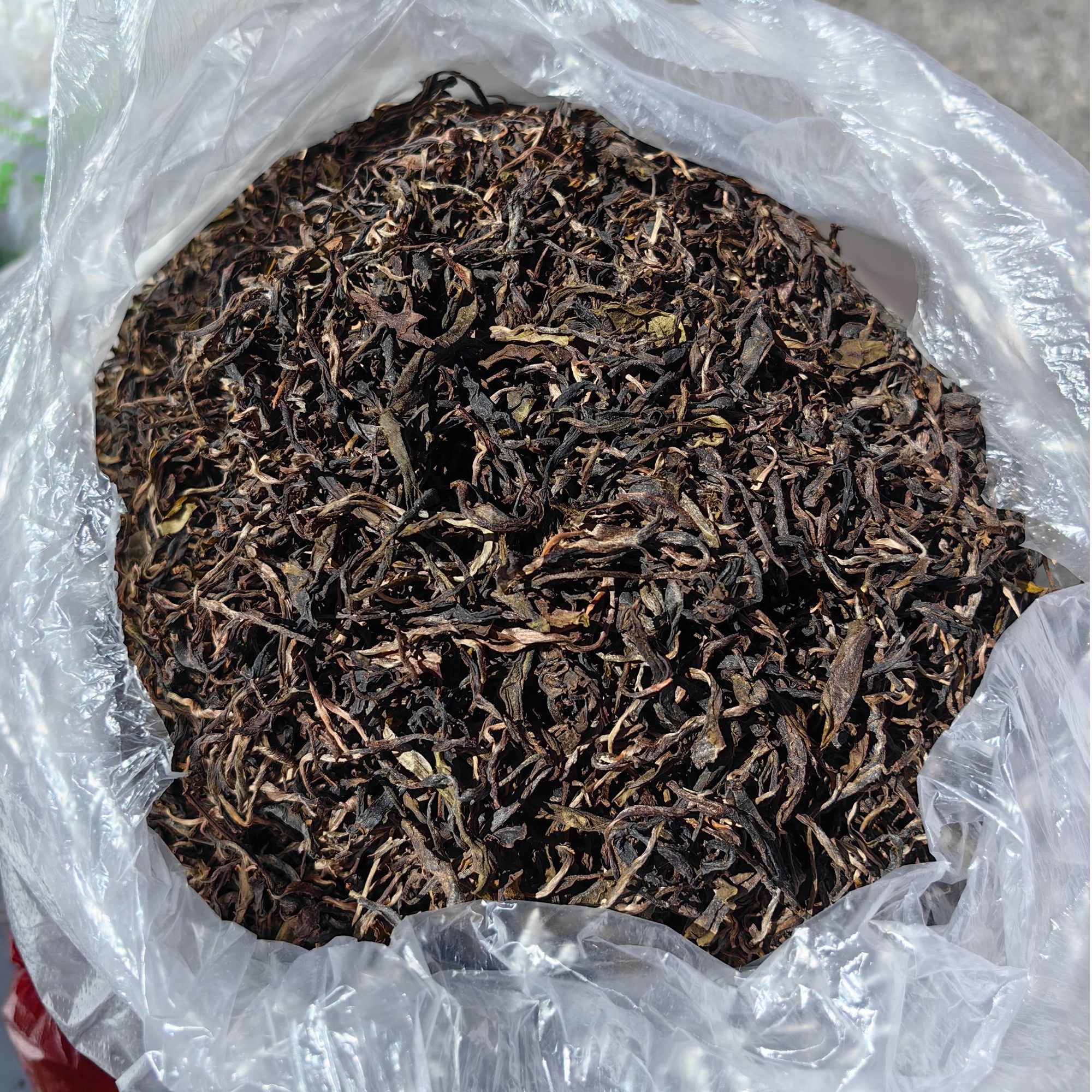家茶直播间现场 称重 现场挑选
