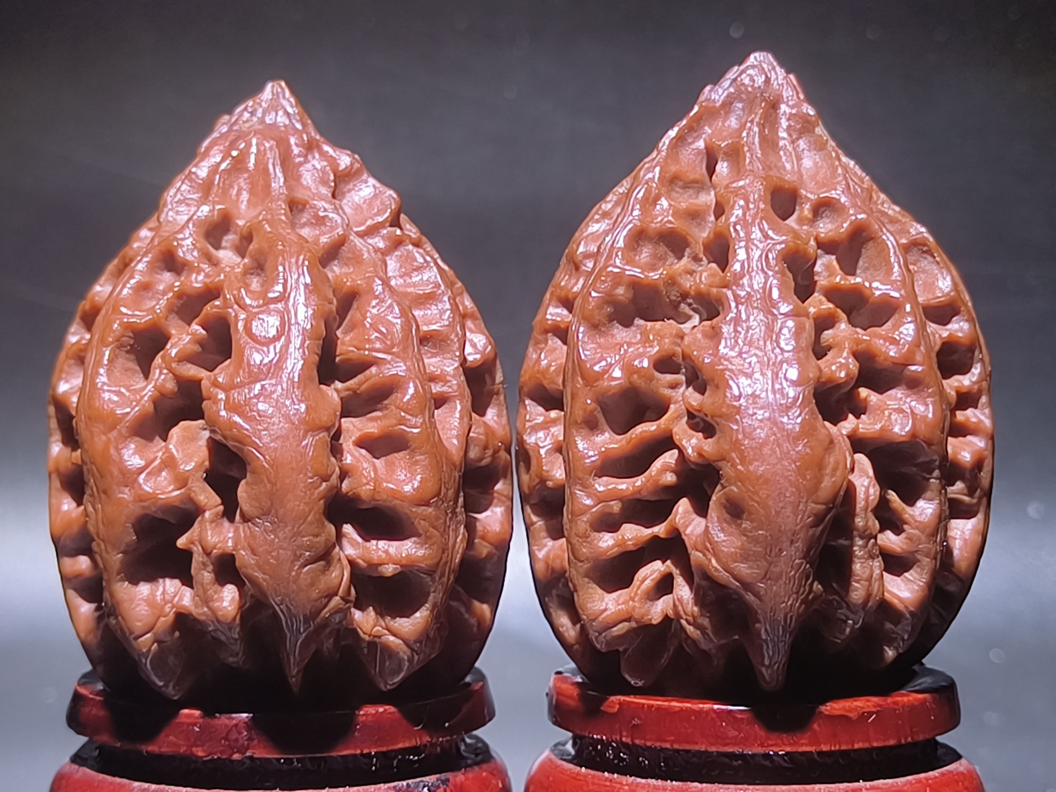 东北野生粗筋秋子