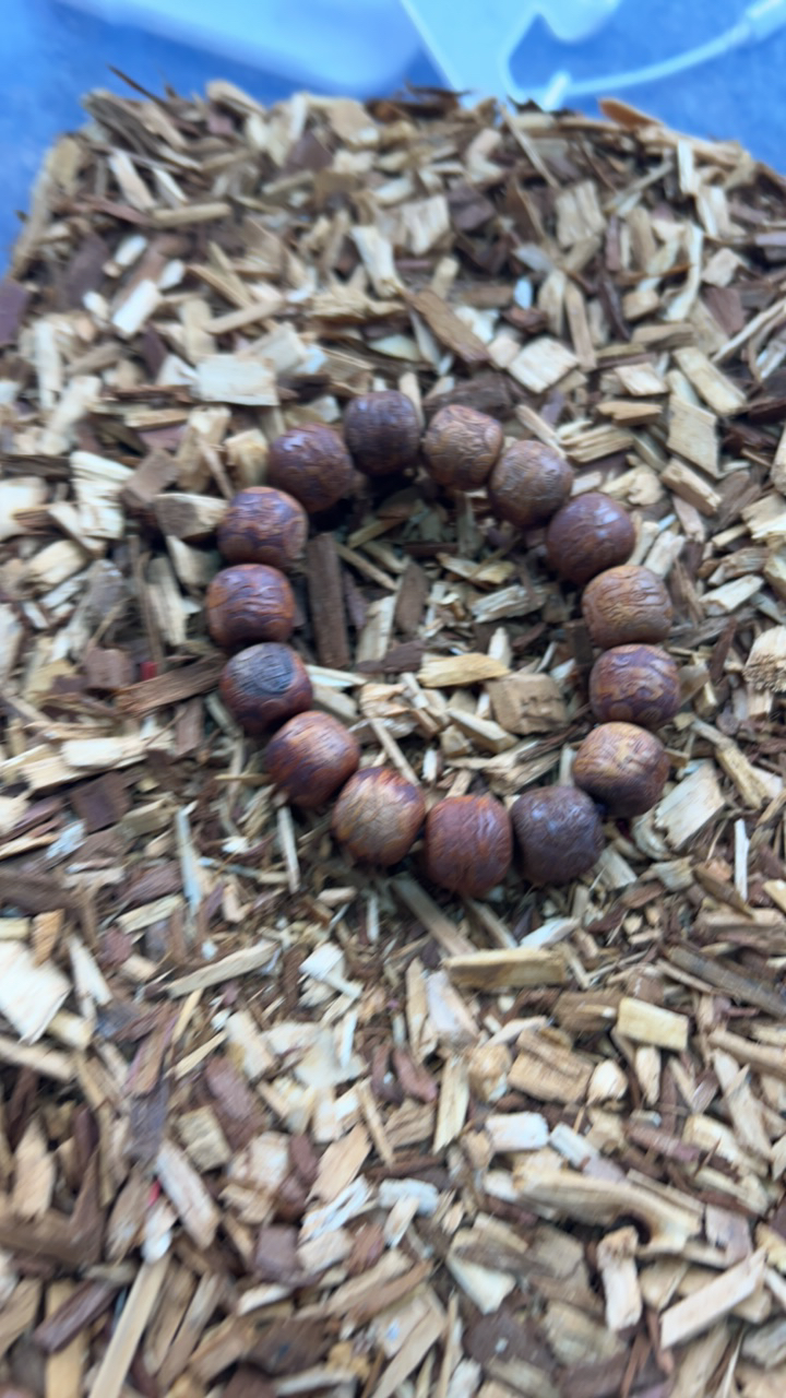 沉香t11 福来精选高端文玩