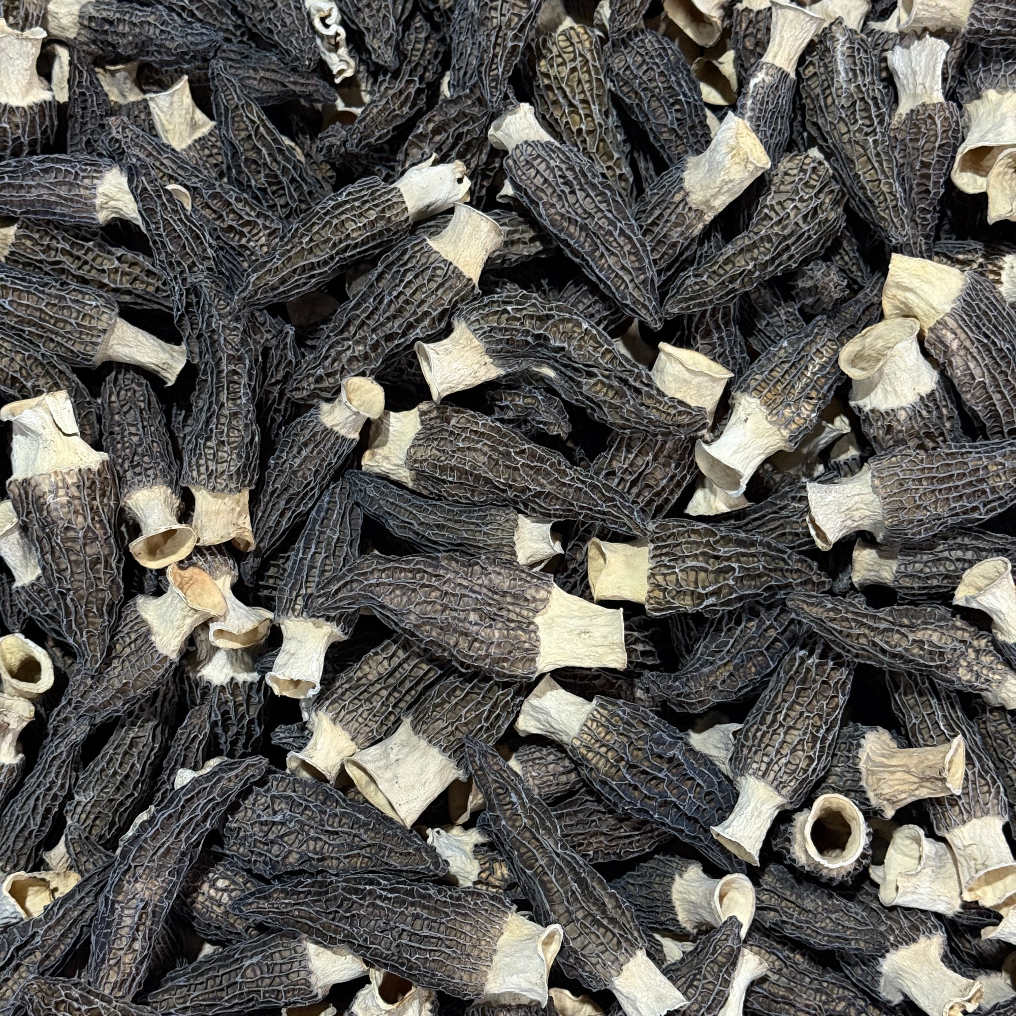 1125620手选羊肚菌干菌菇