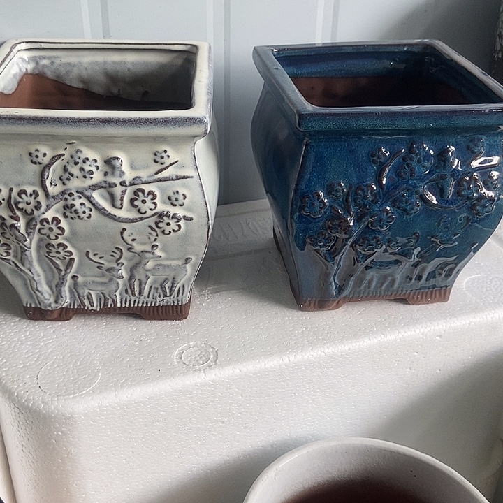 红糖15。。。。16。。。。。。