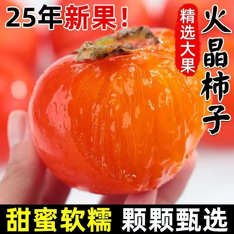 应季正宗火晶小柿子放软后吃爆汁流心无核新鲜水果普箱蛋托