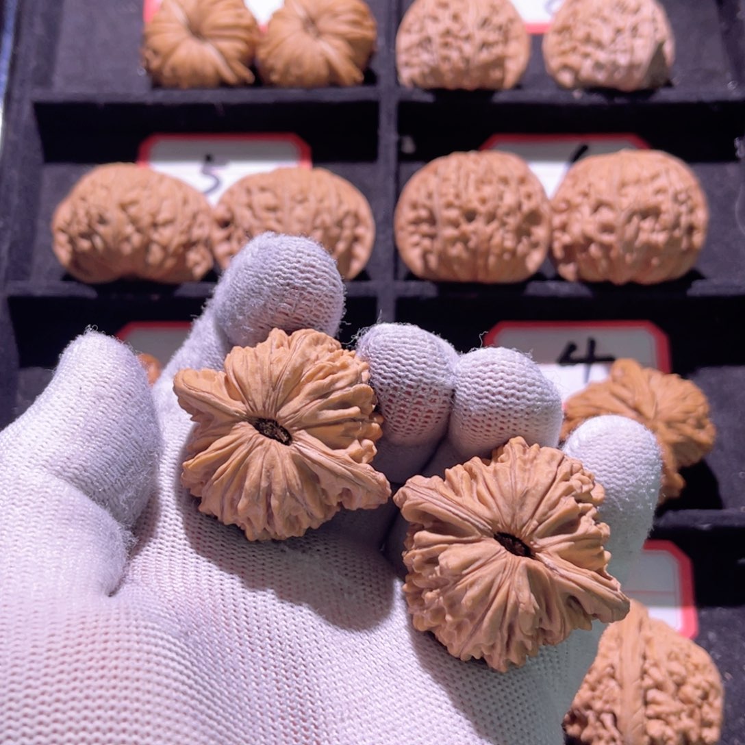 赖*挂秦皇岛山地果平谷楼