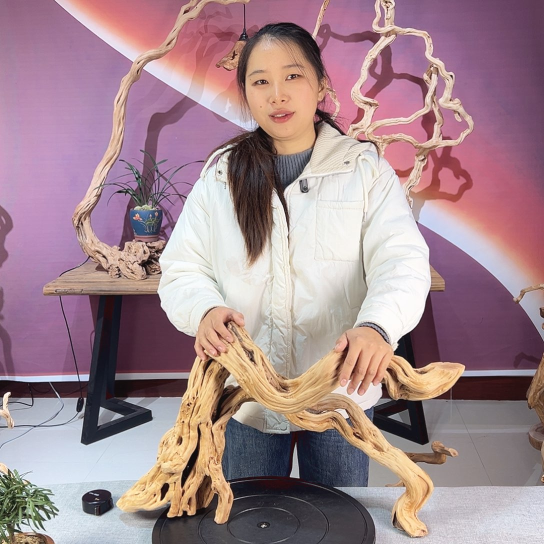 *****木天然杜鹃根根艺摆件