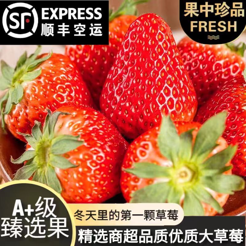 现货顺丰包邮】正宗辽宁99大草莓奶香次日达礼盒新鲜送礼孕妇水果