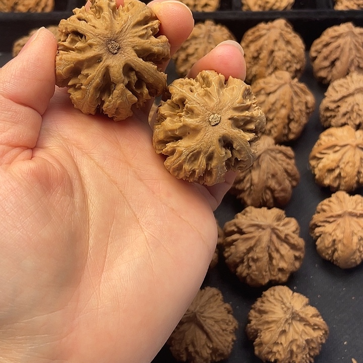 邪***郑吊坠文玩核桃秦岭以南是黄河上游重要