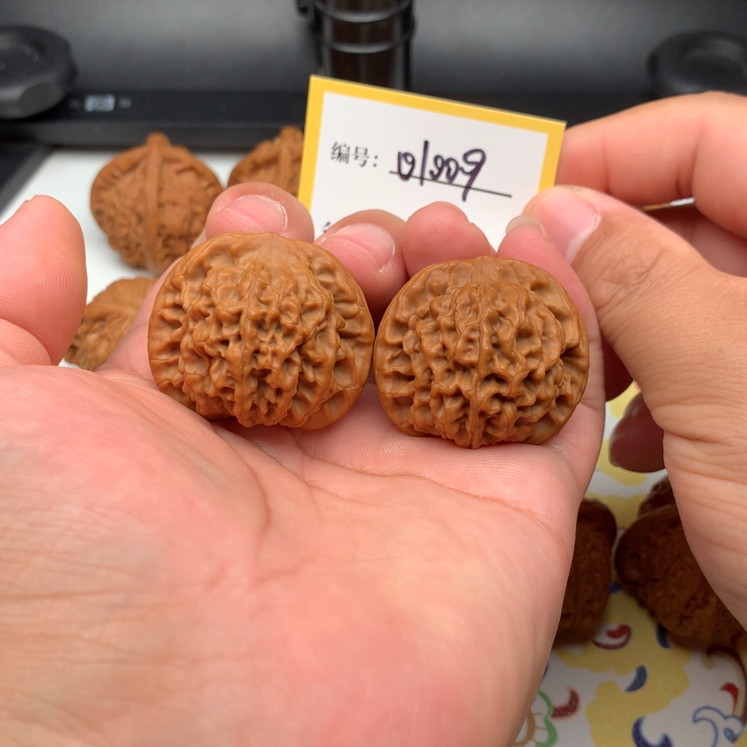 文玩核桃把件38全品秦闷01009