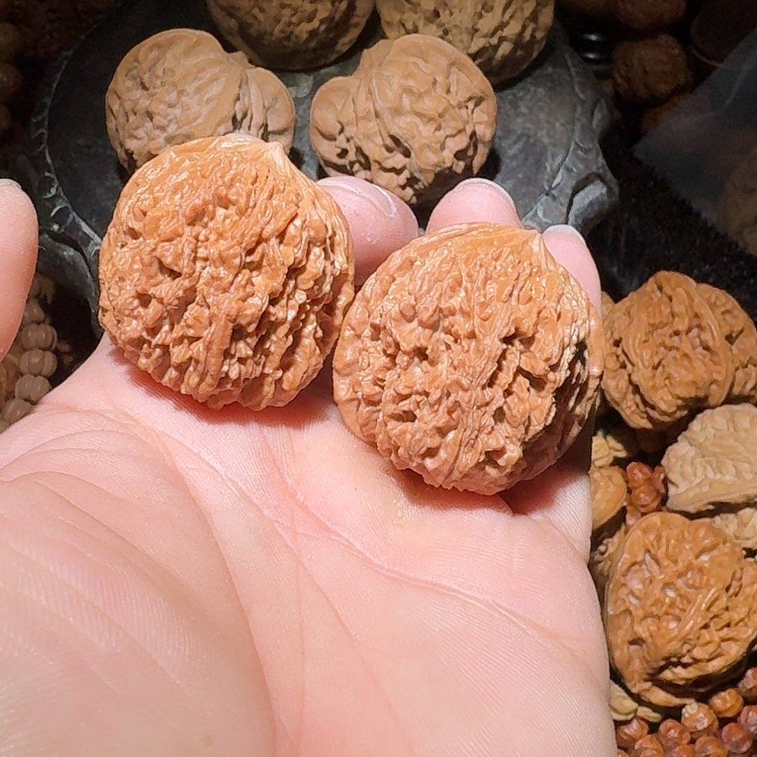 核桃35尺全品137狮子