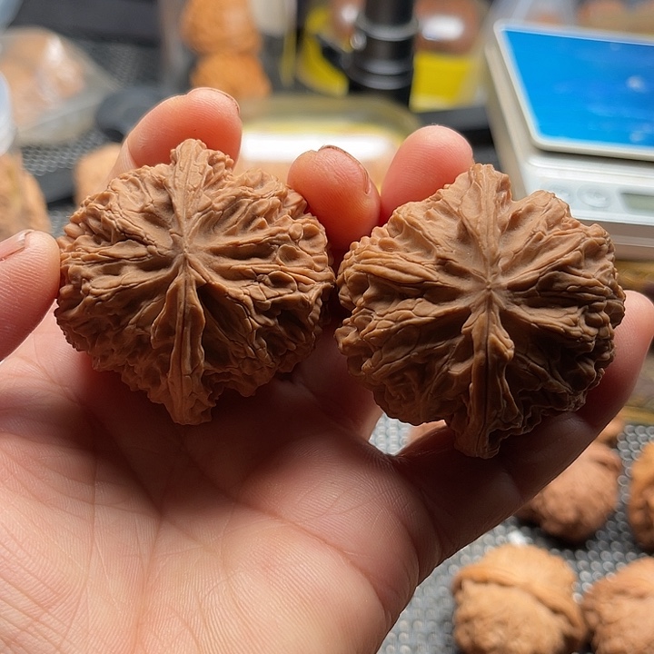 把件桃核全品平谷边48