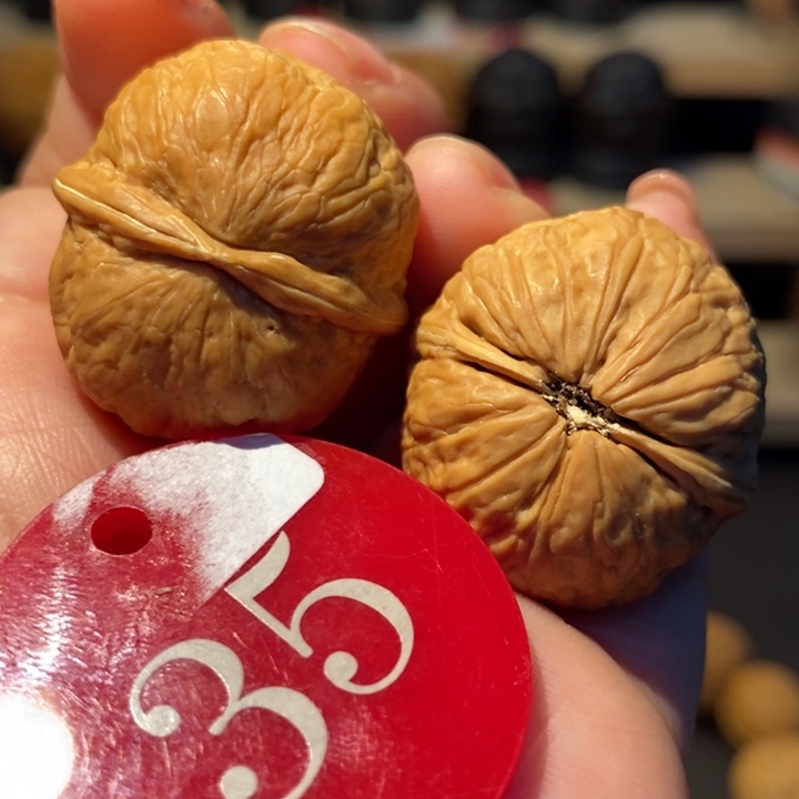 木质类小金豆30尺寸