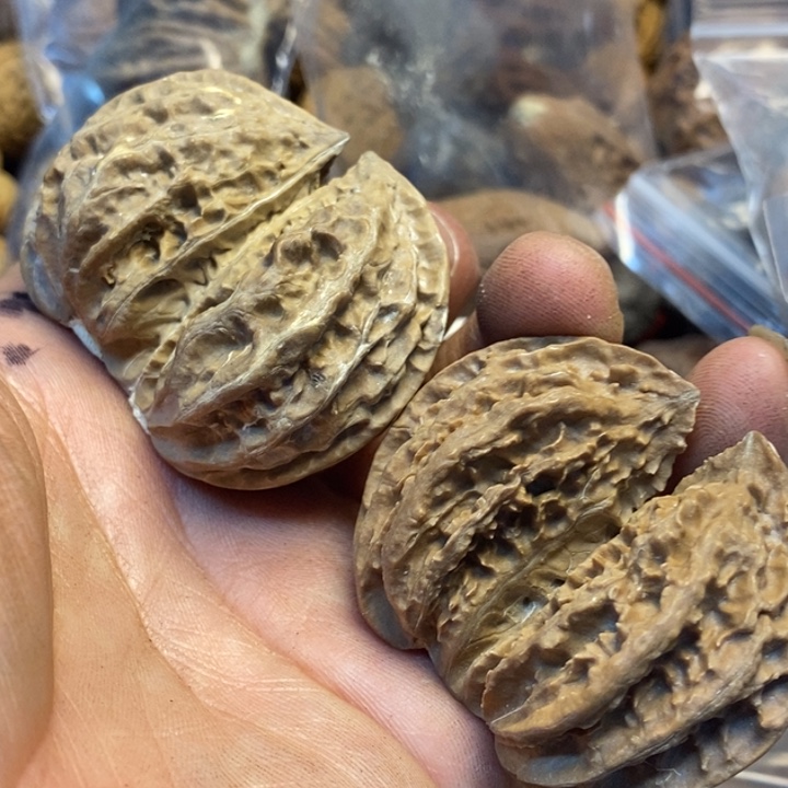 航***云桃核吊坠娜姐我真的102