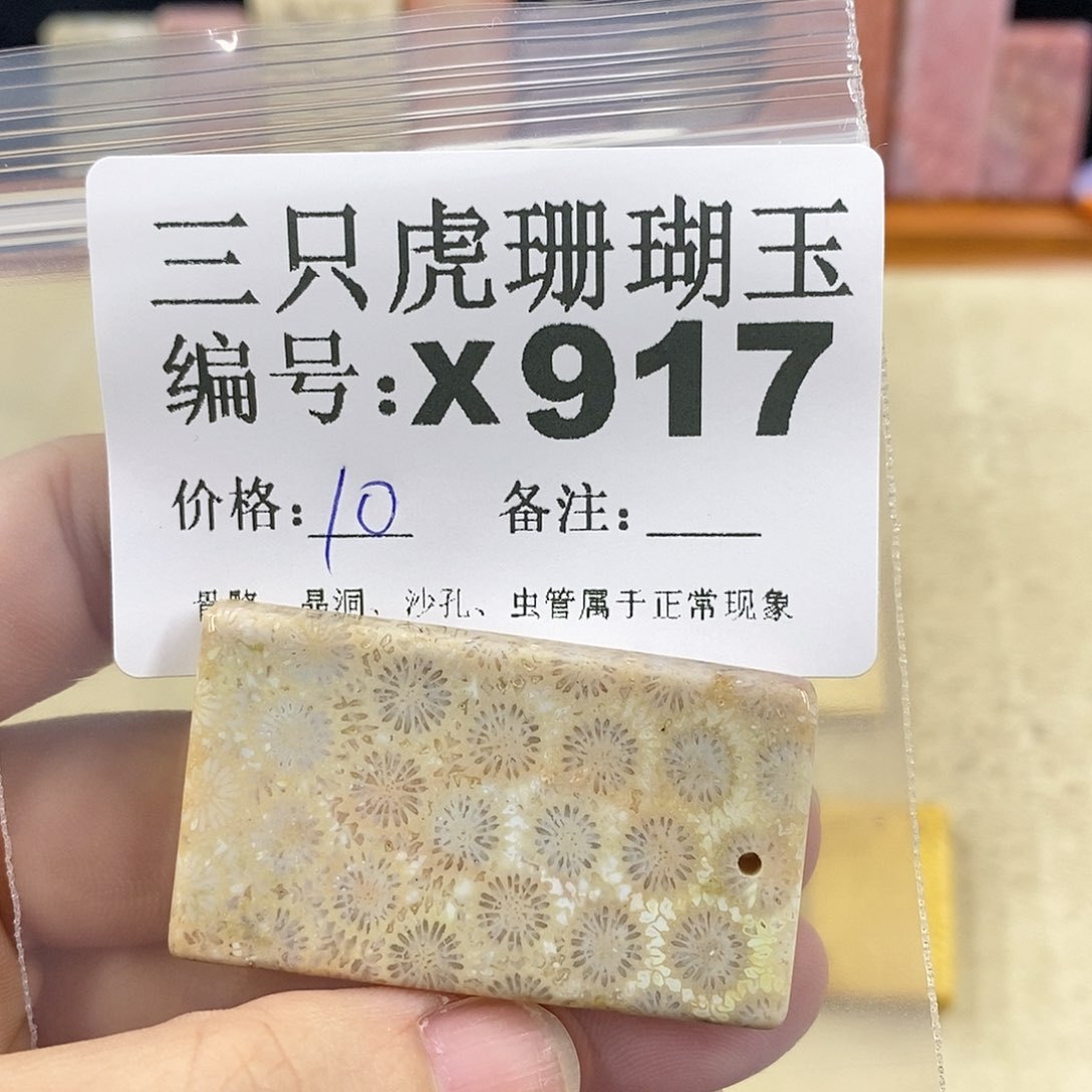 硅化珊瑚（珊瑚玉）1未镶嵌我**品