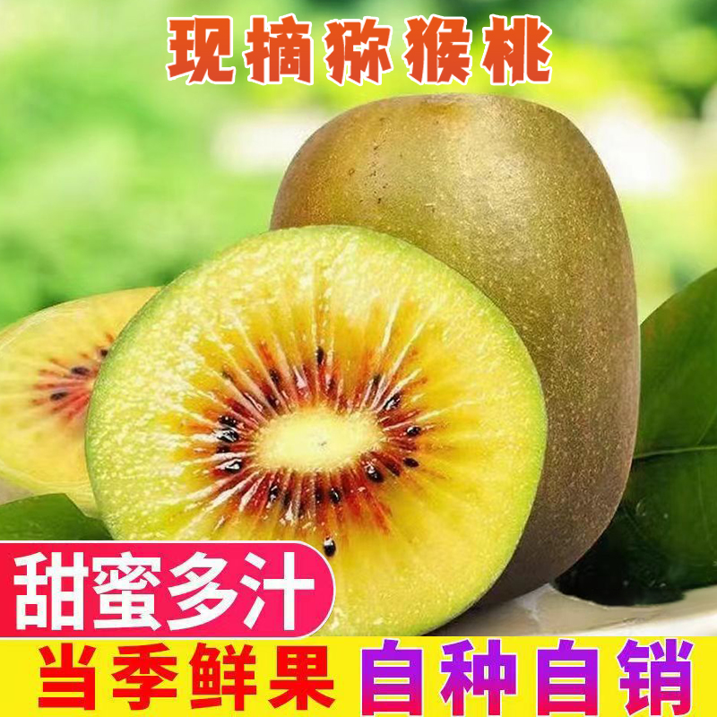 送礼精品礼盒装，严选安州“安猕”红阳红心猕猴桃应季新鲜水果