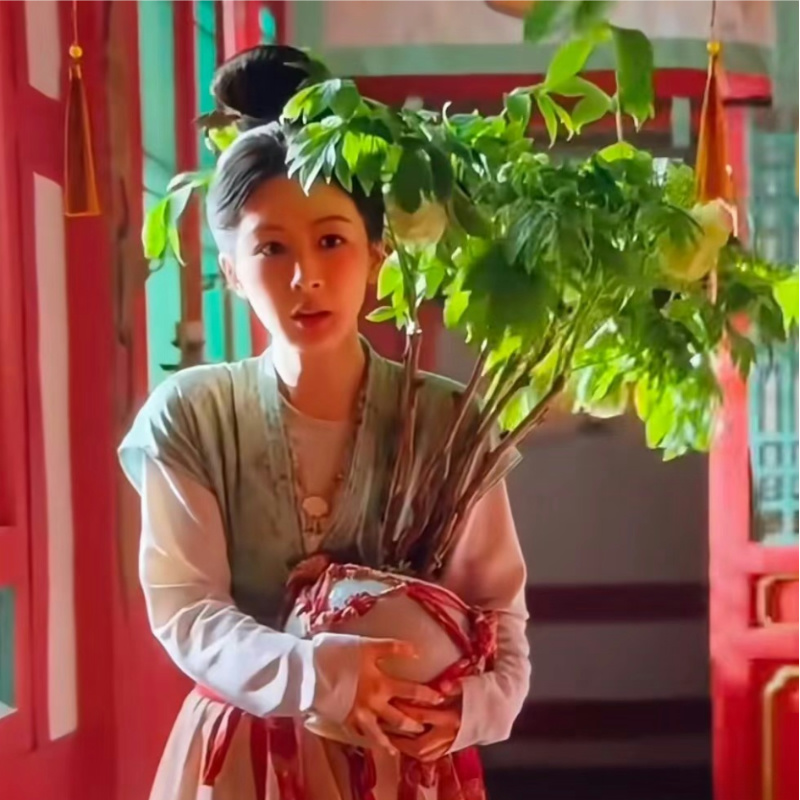 国色芳华 [琼台玉露]5A-牡丹鲜切花菏泽基地直发 年宵花 牡丹鲜花