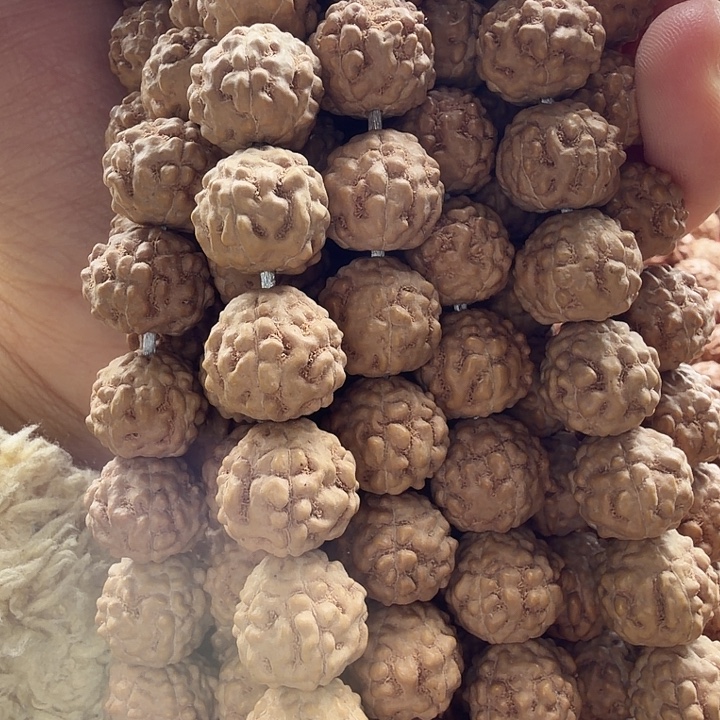 金刚菩提吊坠蛤蟆背12+