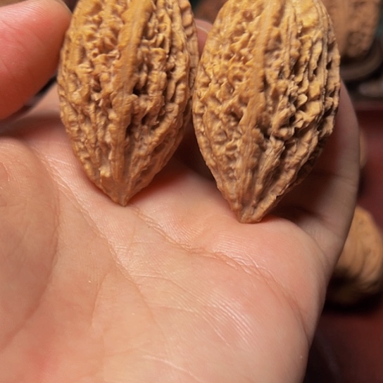 文玩核桃吊坠蚂蚁棍