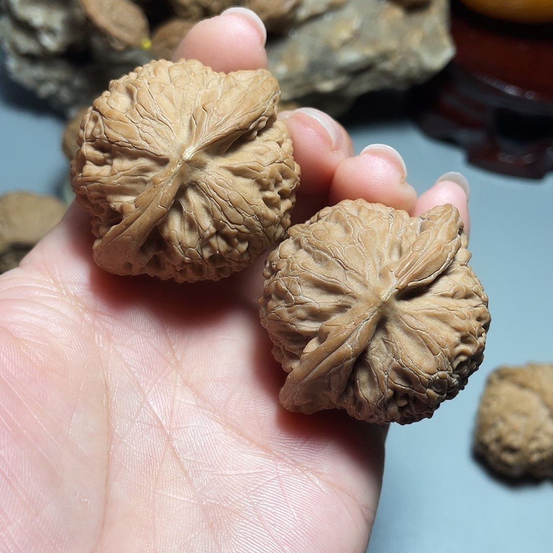 核桃手串/手链精品宫灯45