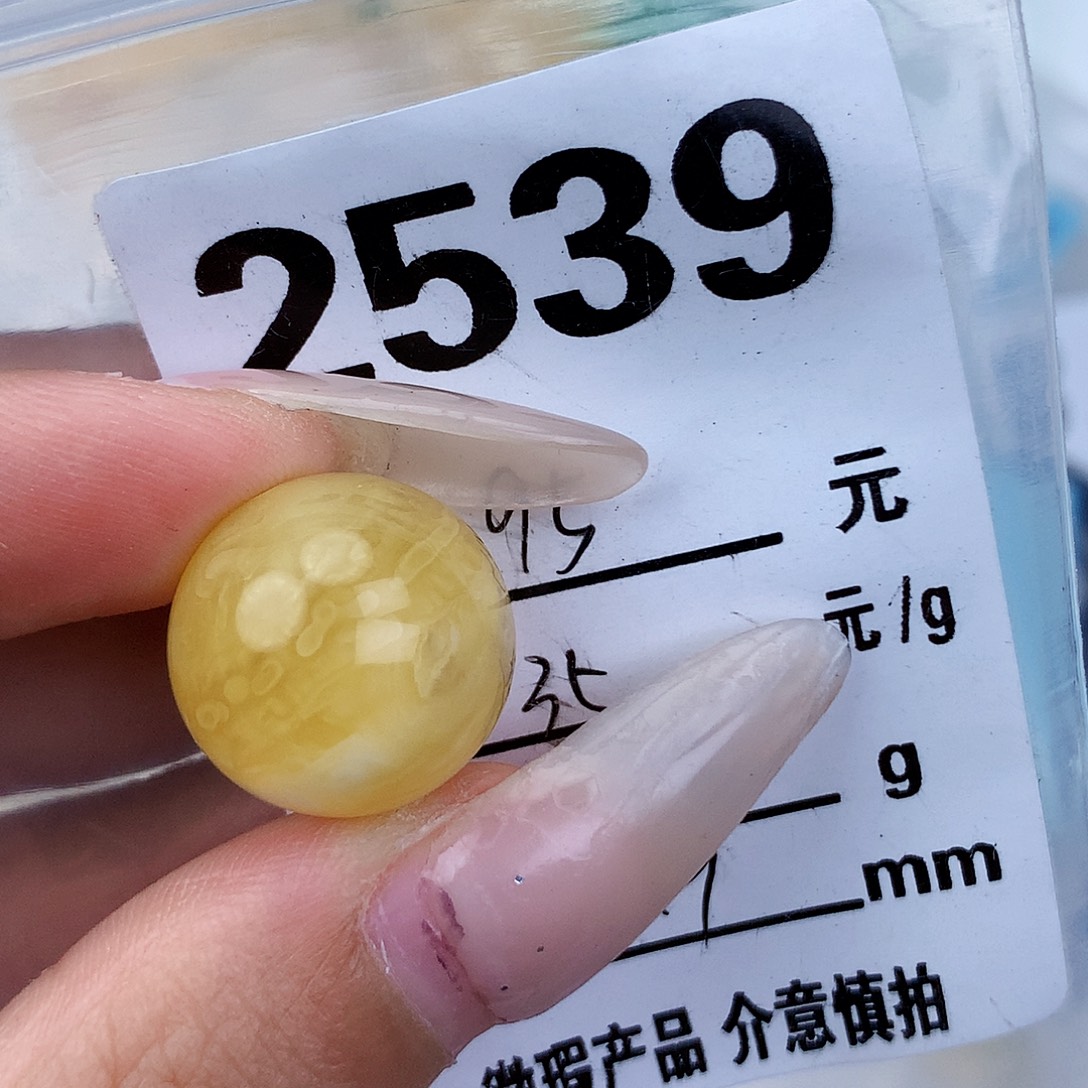 琥珀未镶嵌珠宝奇石17植物