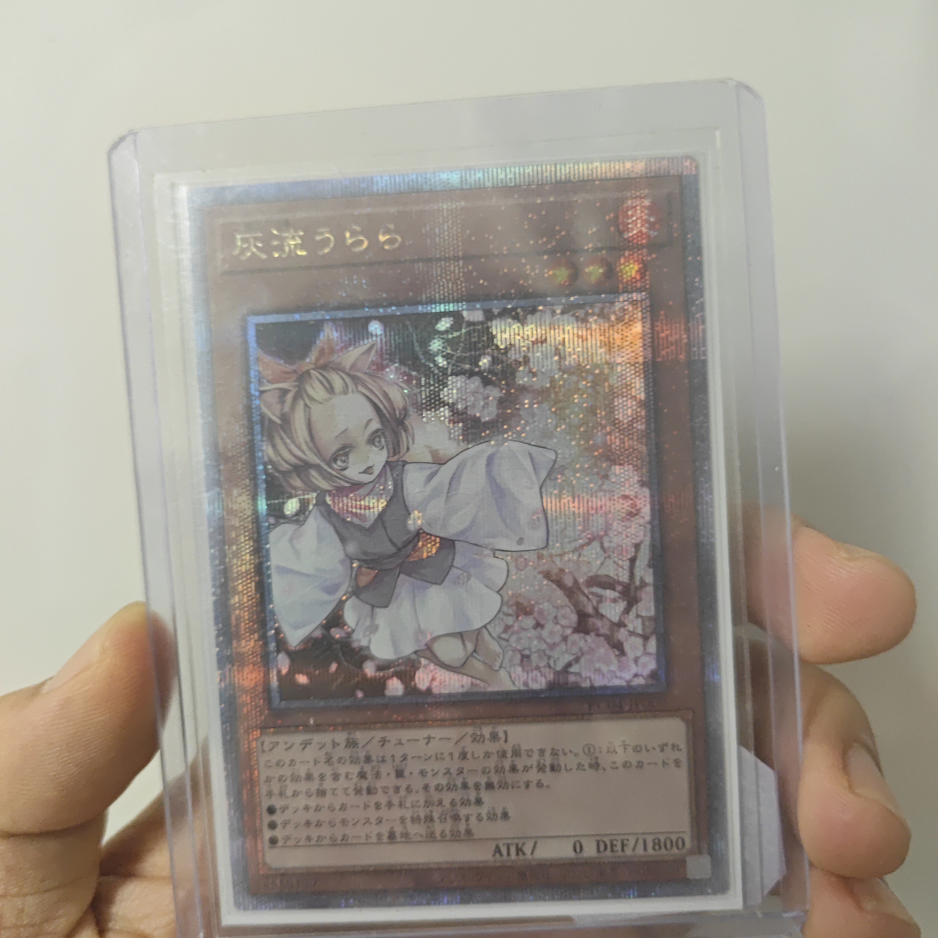 游戏王rc04金碎灰流丽
