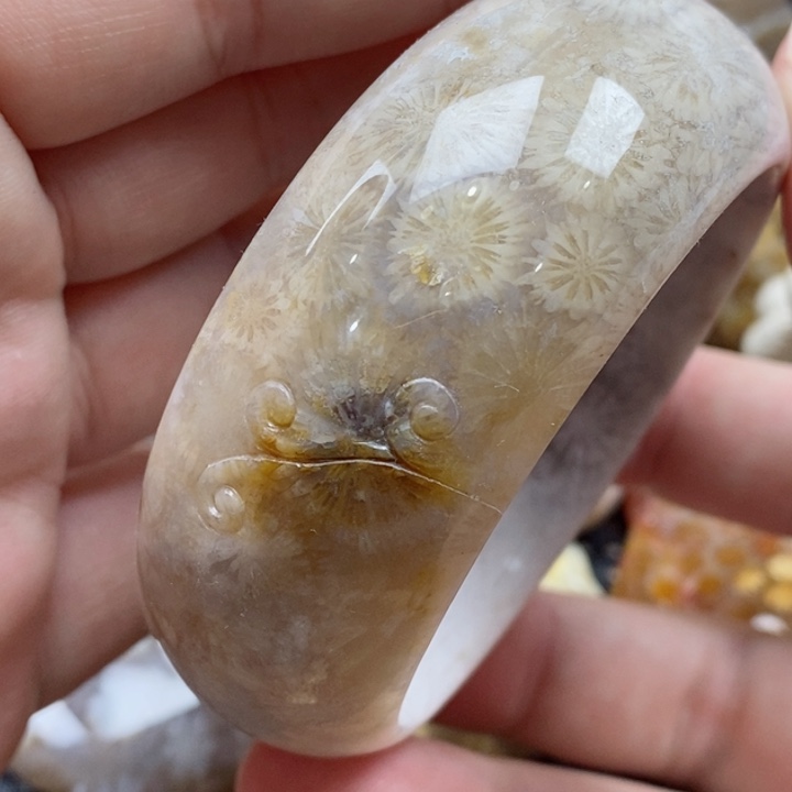 硅化珊瑚（珊瑚玉）颈饰未镶嵌55