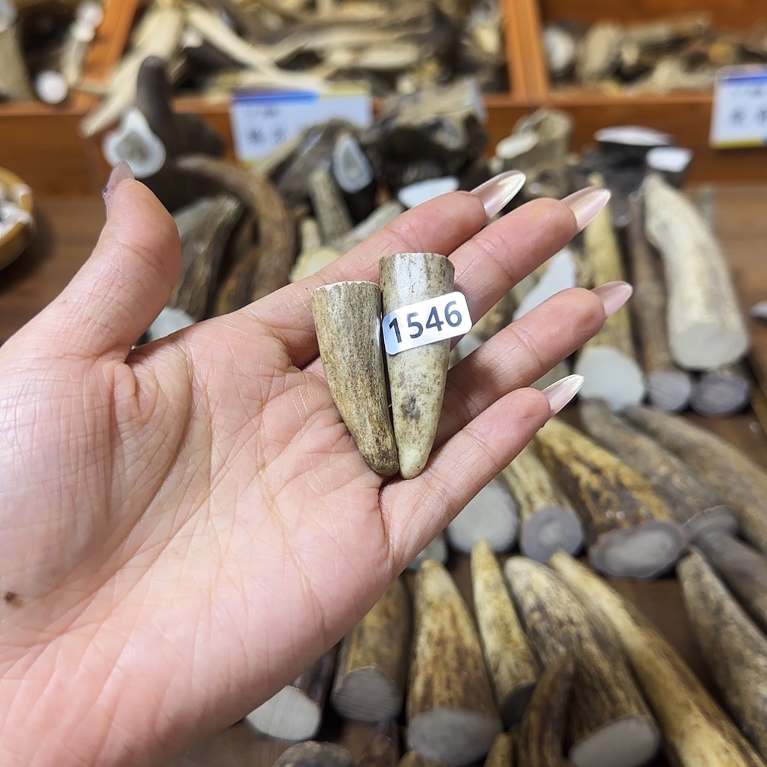 鹿骨手串/手链1546角尖两个