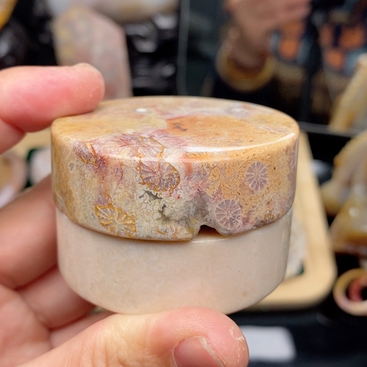 硅化珊瑚（珊瑚玉）手镯未镶嵌