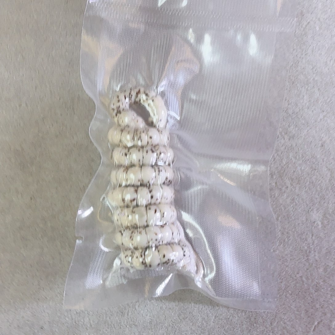 星月菩提吊坠原白大肠6