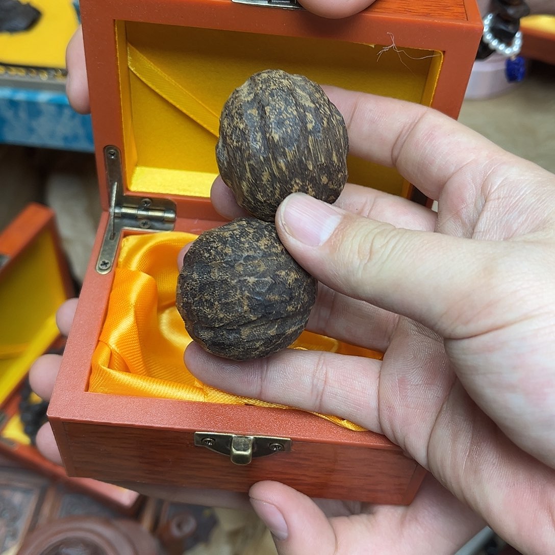 大叶紫檀（黑酸枝木类）