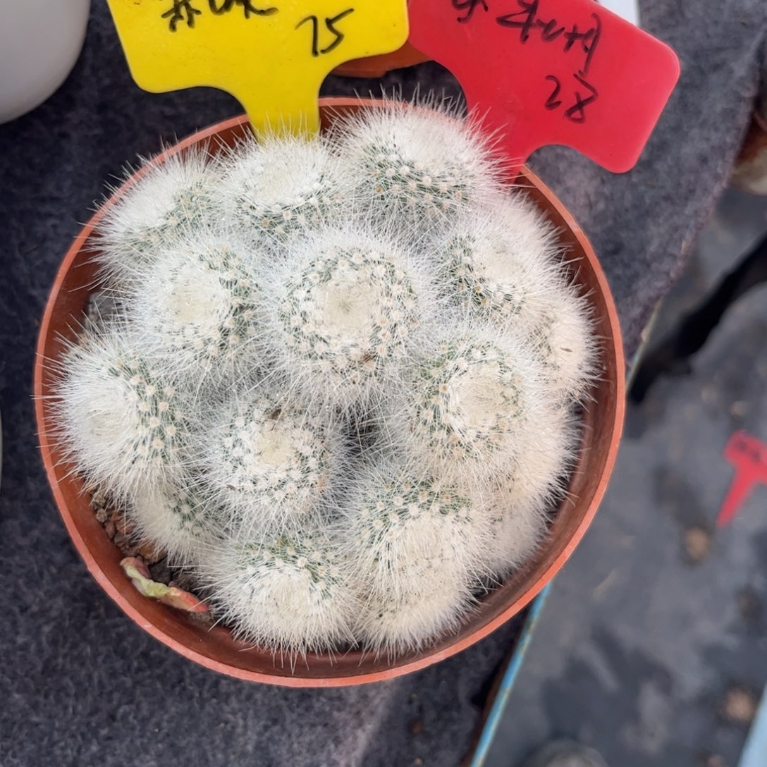 小***雪多吃点东西吃了一