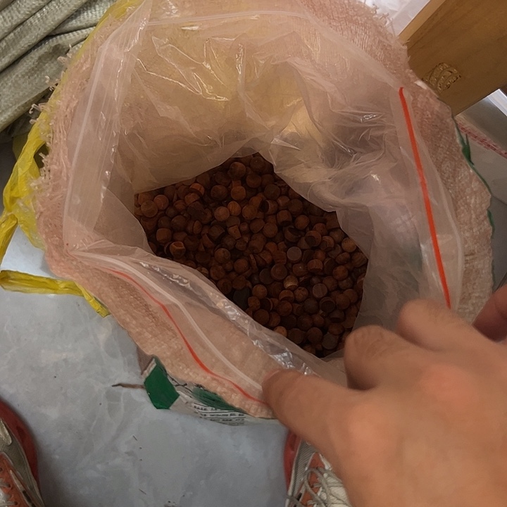 檀香紫檀（小叶紫檀）其他
