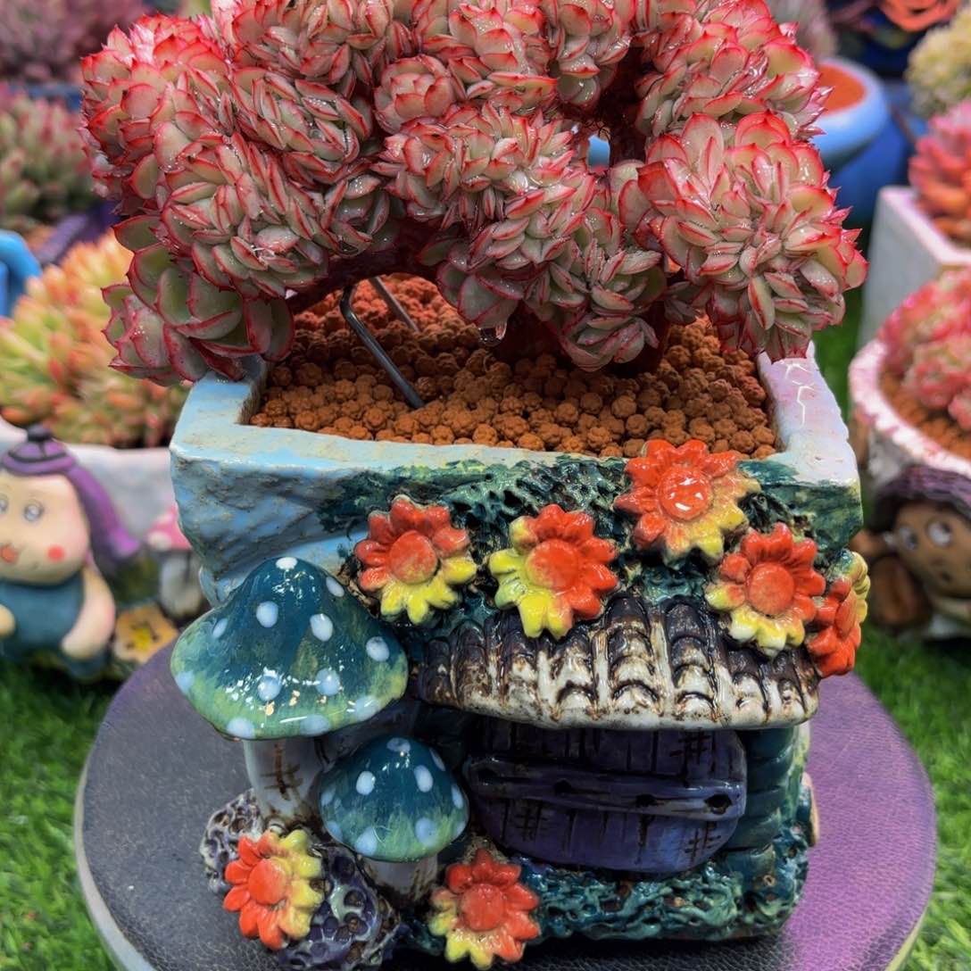 Njhjljbkkbjvvvcvhbvvbbbhjjjj