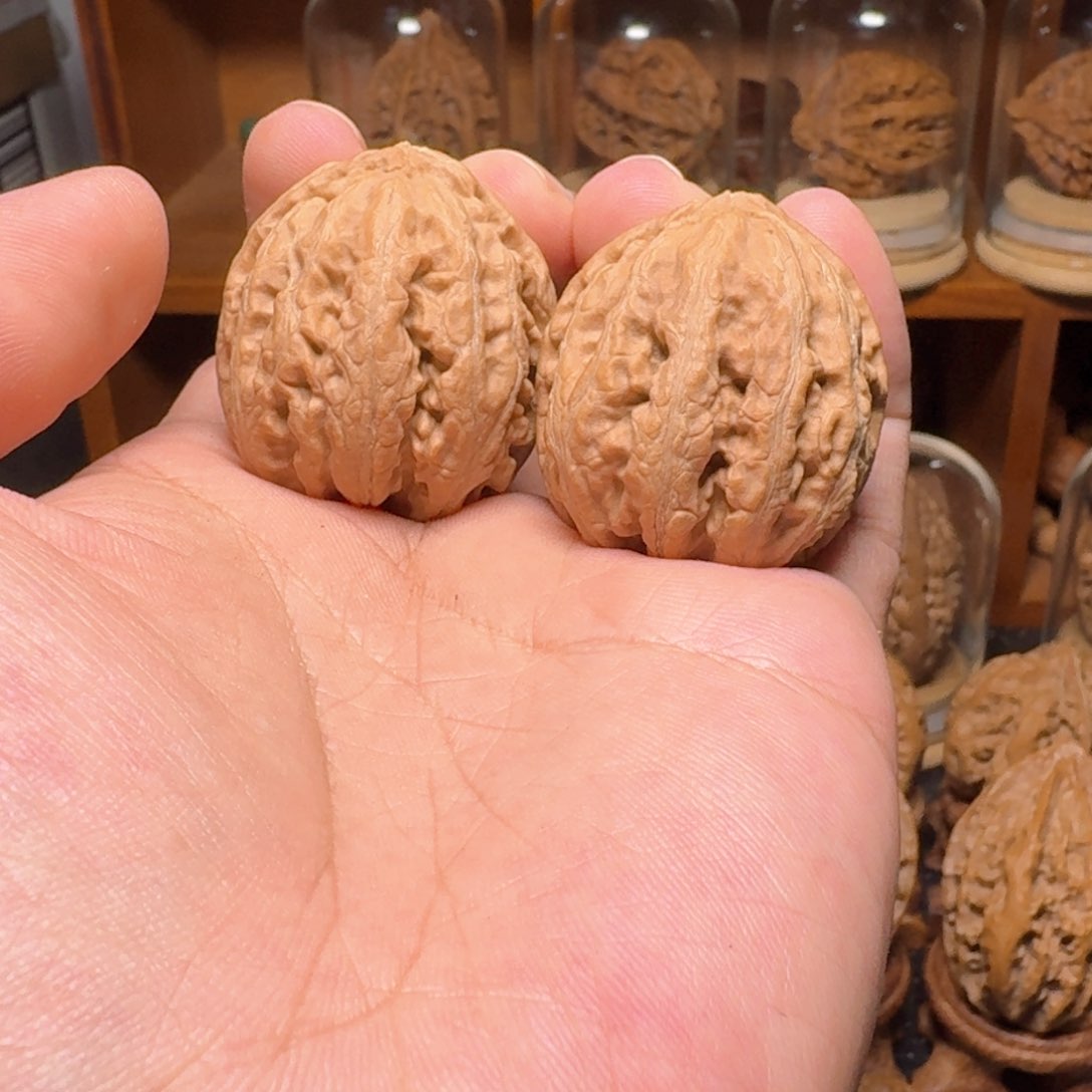 文玩核桃把件沉水龙珠