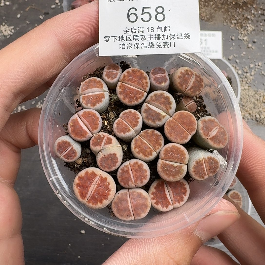 658满18 包邮保温袋联系客服