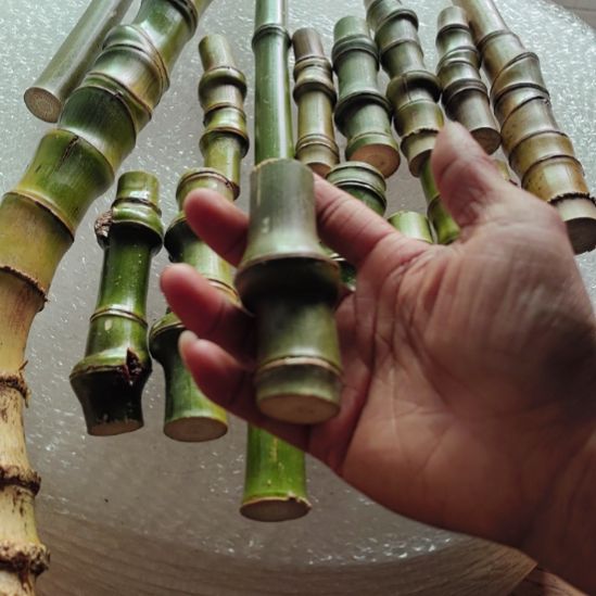 大***了单独发给哈哈滚滚滚滚滚滚