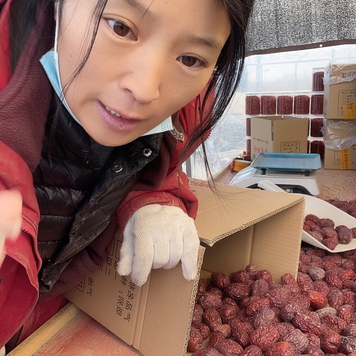 中国大陆和田七月鲜大枣干鲜两吃