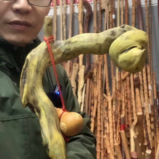 天***馆黄龙柏拐仗长12毫米