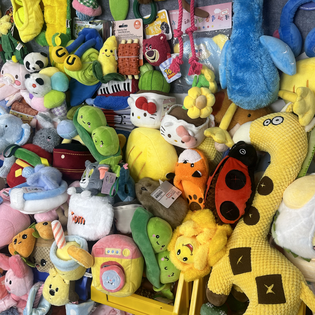 友趣宠物玩具直播间专用单拍链接NO退NO换