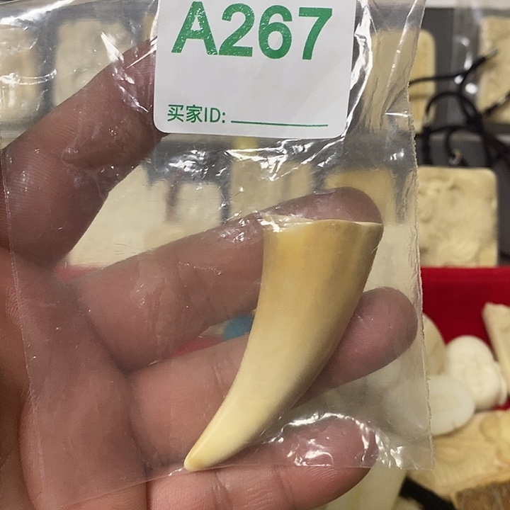 小*龙天然猛犸牙雕刻品