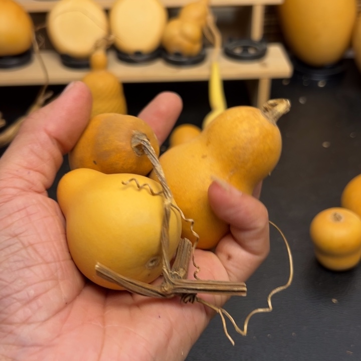 饭***r2566687778866666966