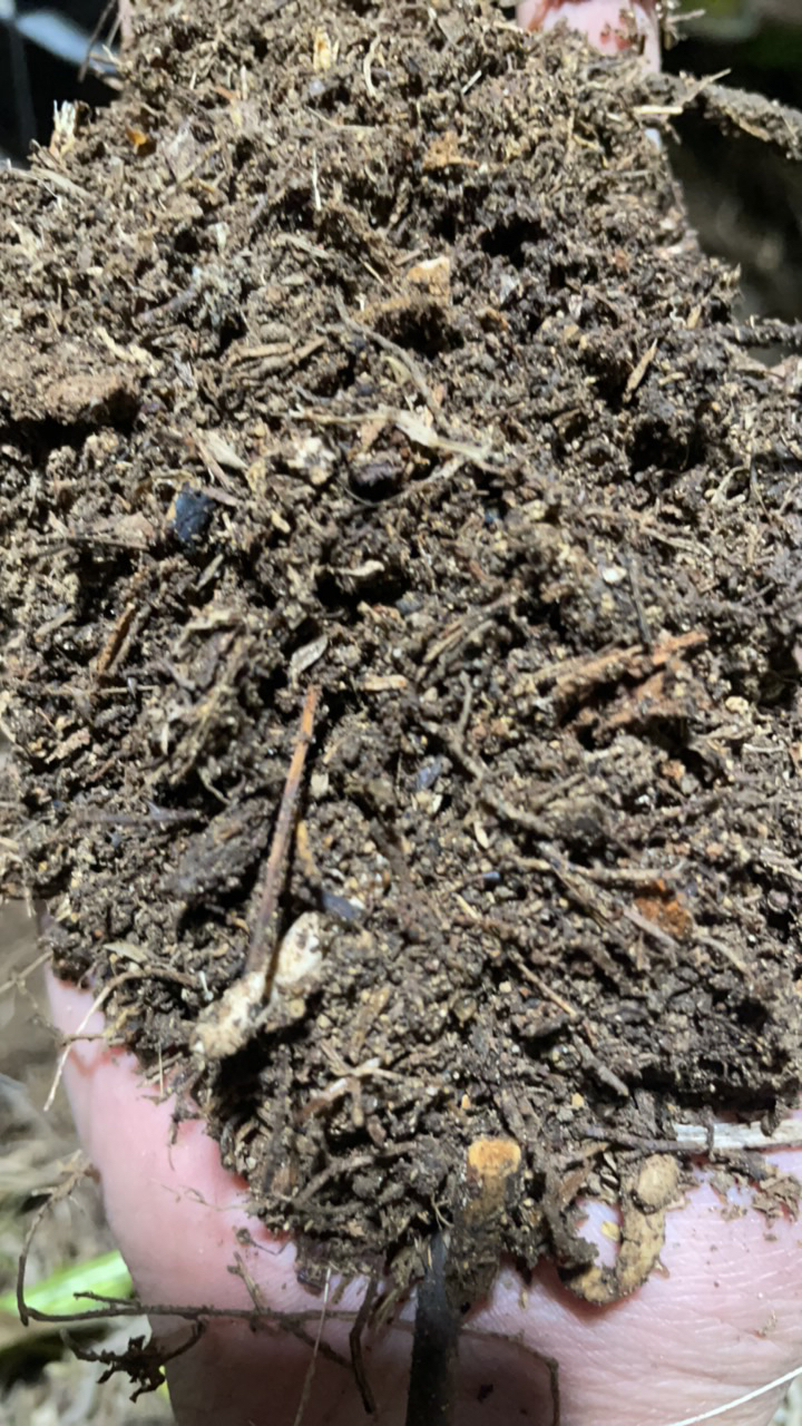 【兰花木屑加山基土】2000g