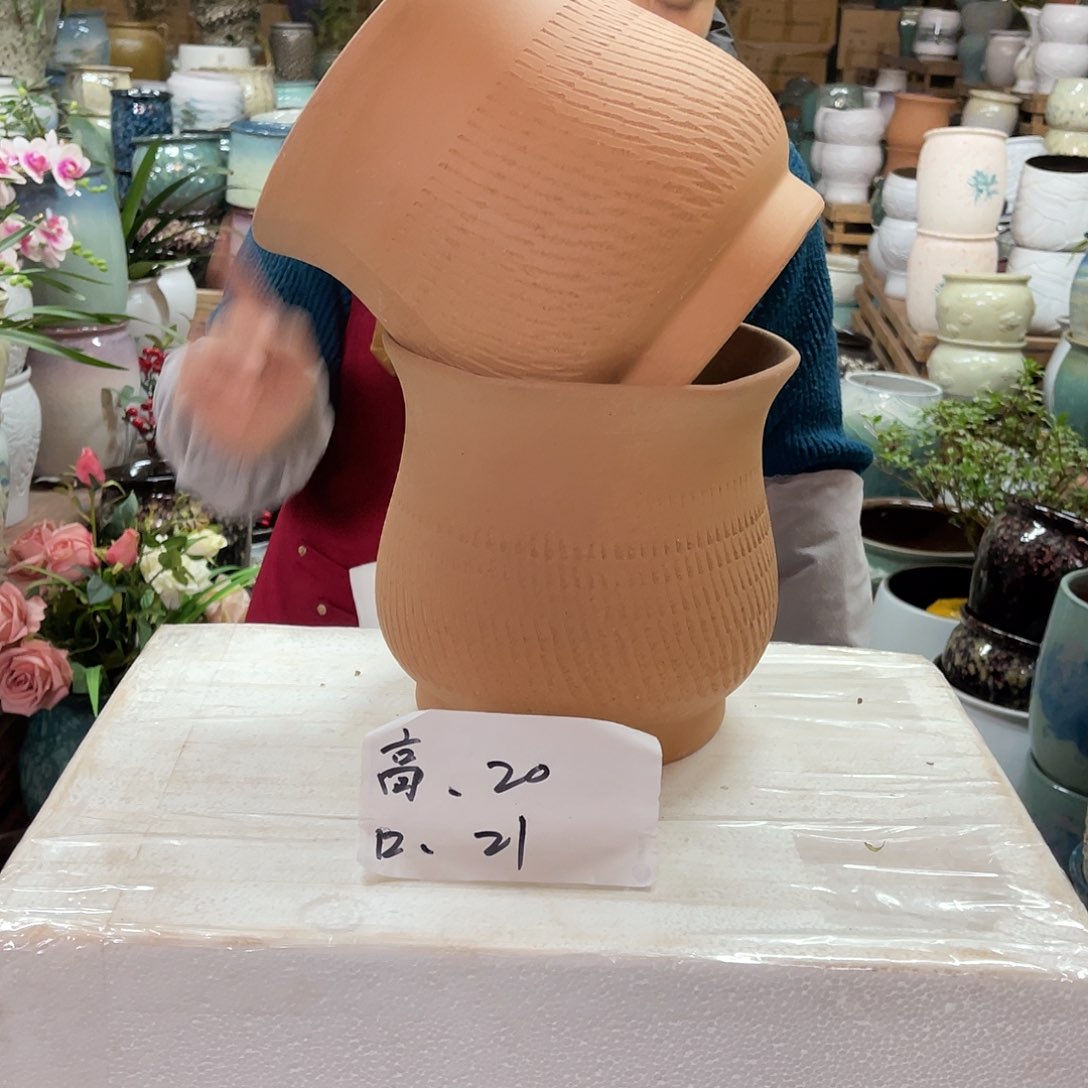 红陶高度20口径21