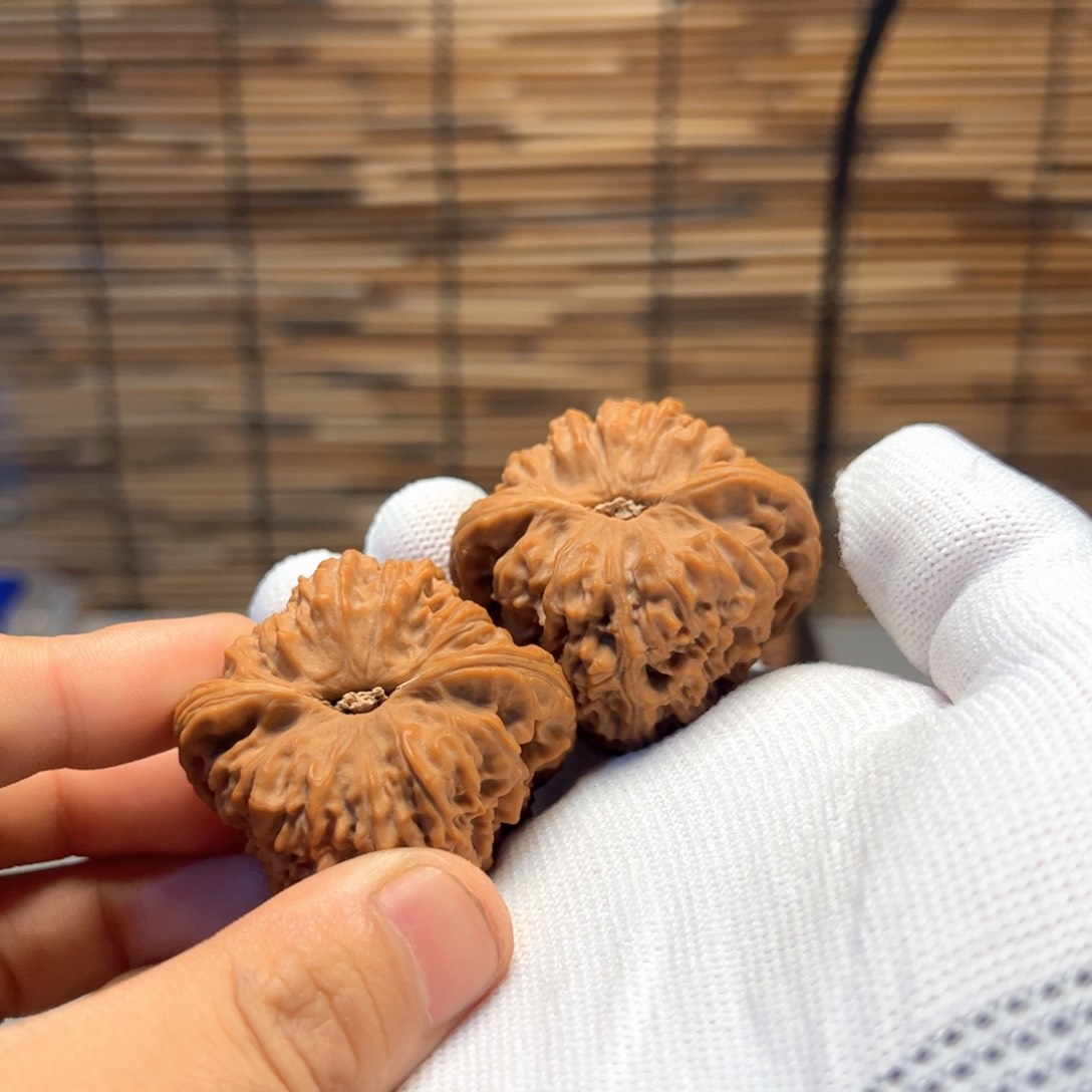 木质类口*核桃核桃核桃