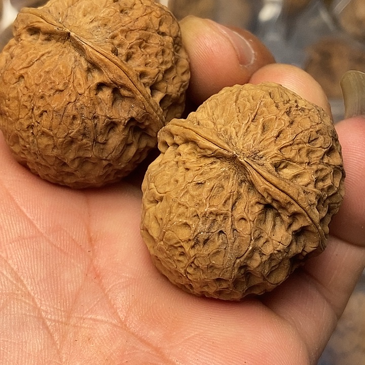 文玩核桃把件云南铁核桃37