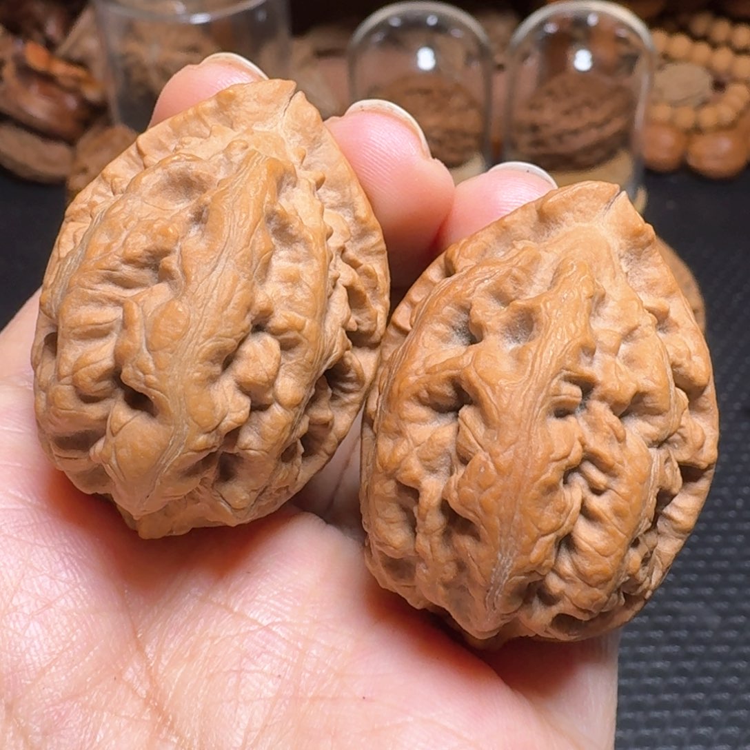 文玩核桃把件粗筋火焰龙